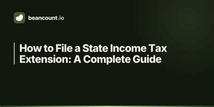 Can a client file their own tax extension?