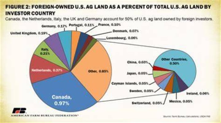 Can foreigners own companies in USA?