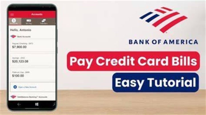 Can I use my business account to pay my credit card?