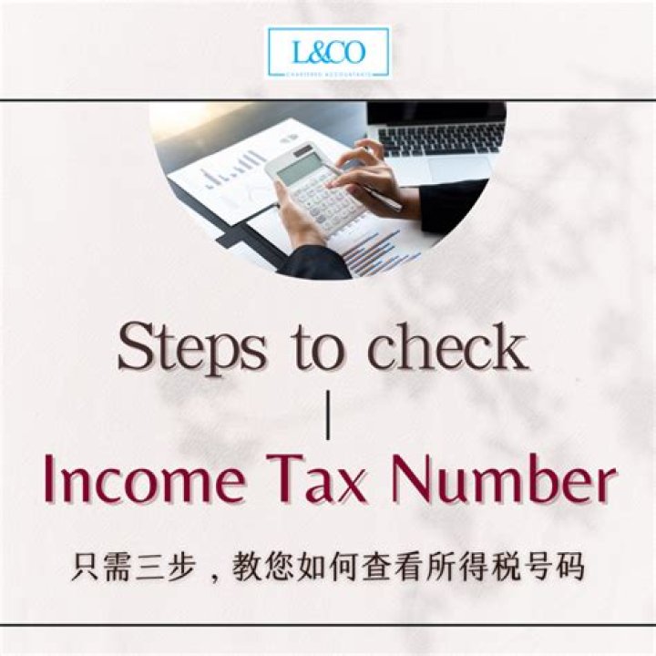 How can I check my income tax balance?