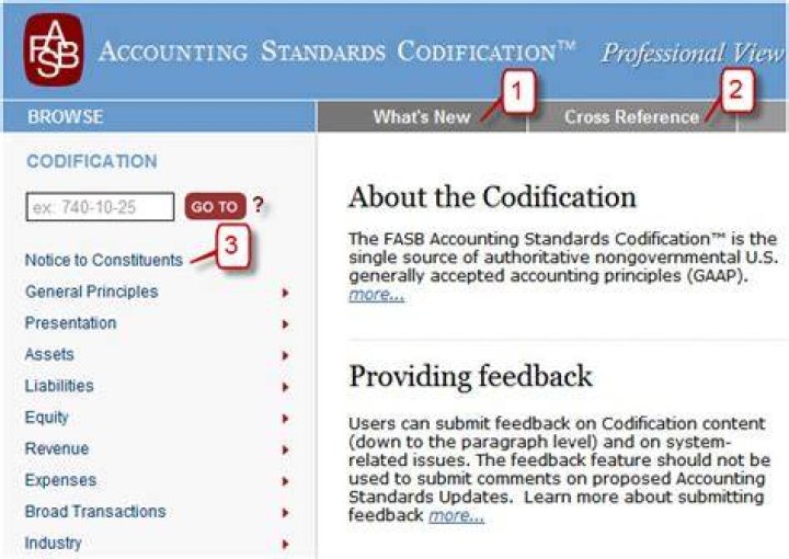 How do I check my FASB codification?