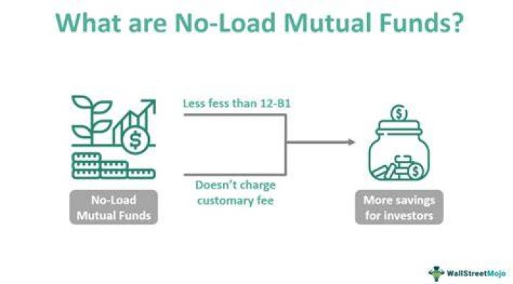 How does an investor purchase a no-load fund?