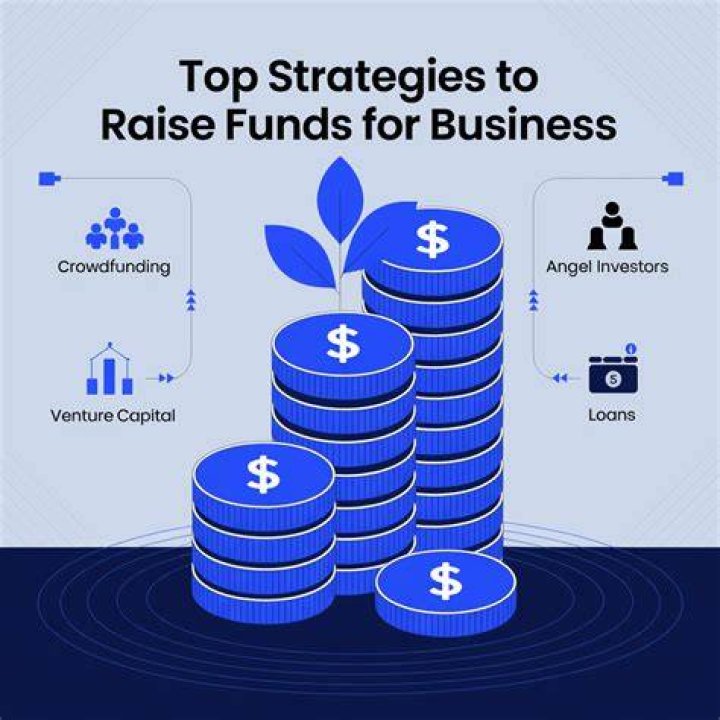 In what way the company would be able to raise funds?