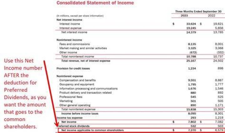 Is consolidated net income the same as net income?
