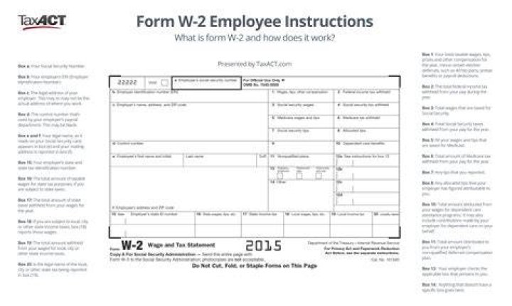 What are the instructions for W-2 tax forms?