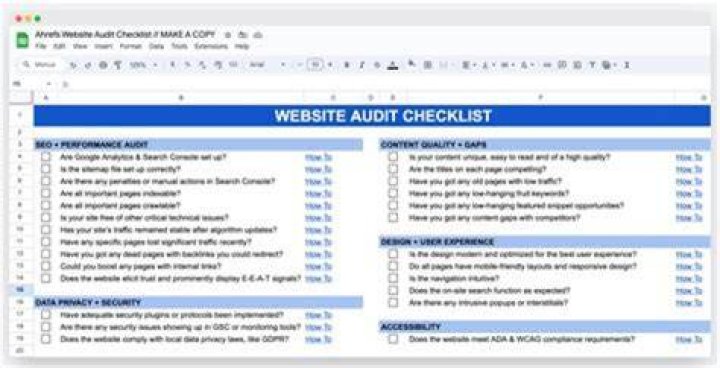 What does a tax audit do?