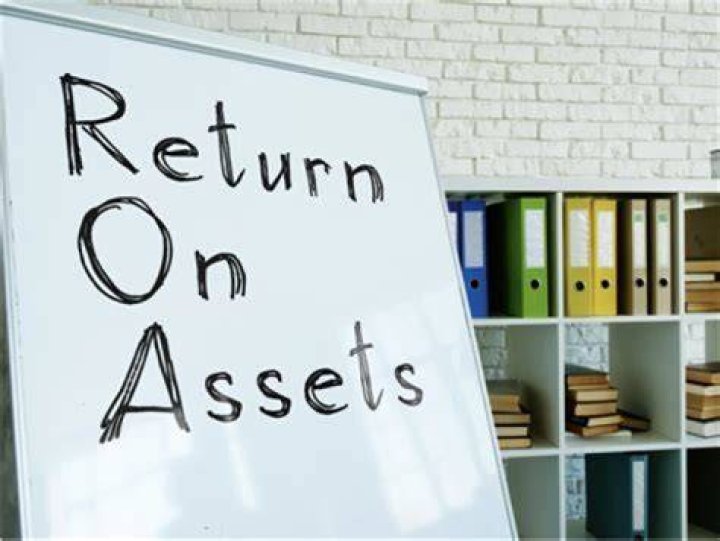 What does return on assets ratio tell you?