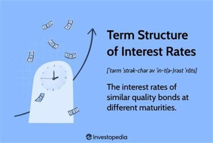 What influences the term structure of interest rates?