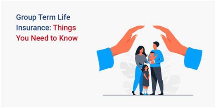 What is a group term life insurance?