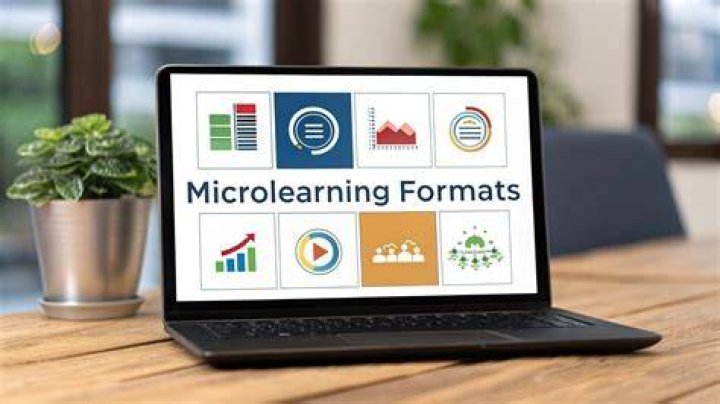 What is an example for micro?