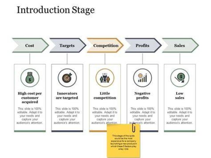 What is the introduction stage?