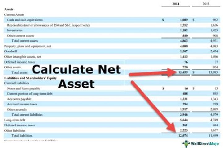 What is the statement of net assets?