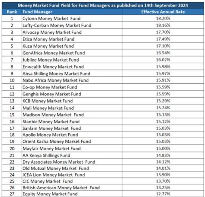 Which is the best money market fund in Kenya?