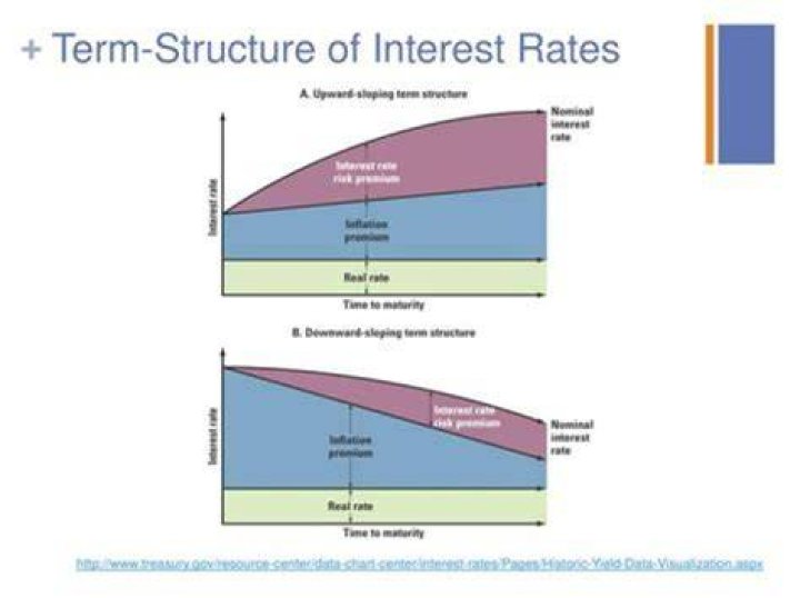 Why does the term structure of interest rates matter?