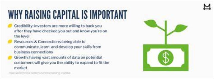 Why would a company need to raise capital?
